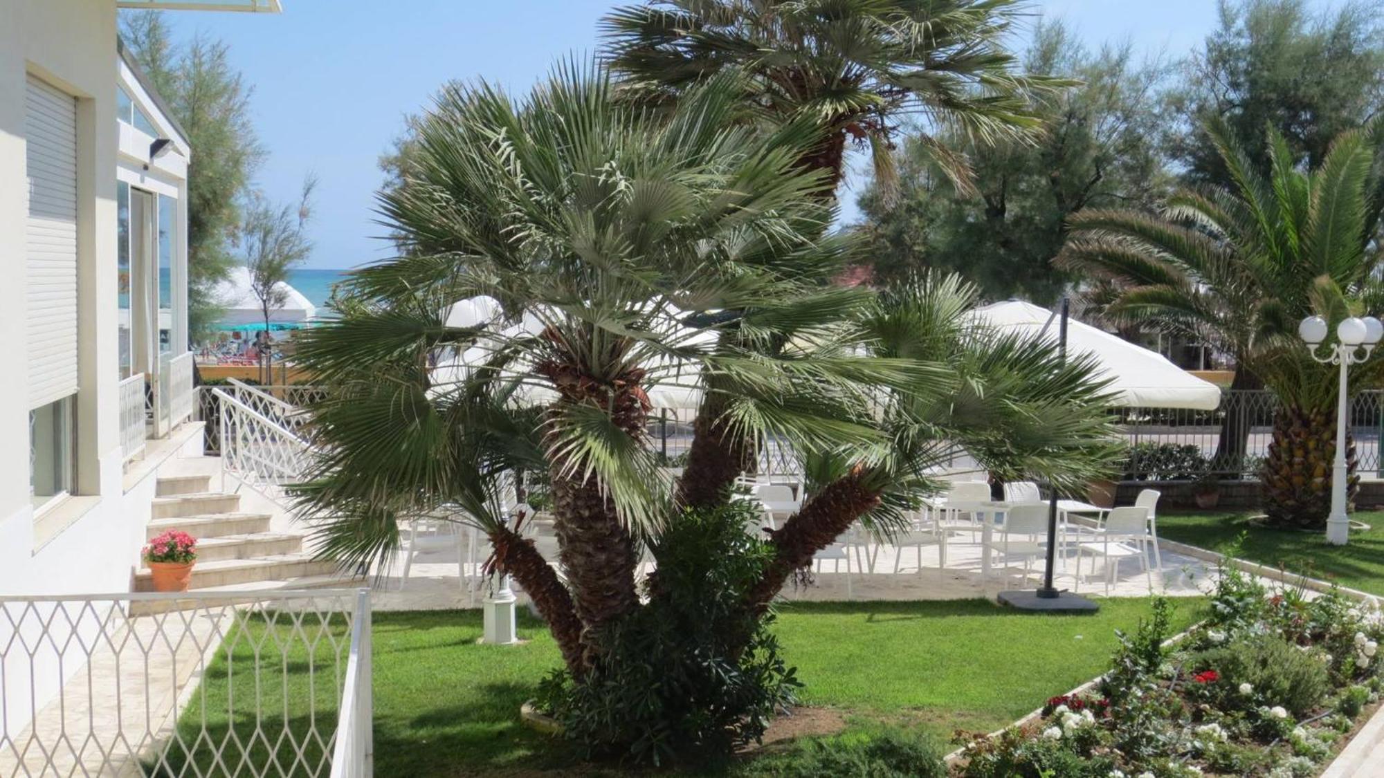 Hotel Majestic Senigallia Zewnętrze zdjęcie